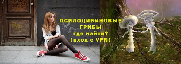 spice Покачи