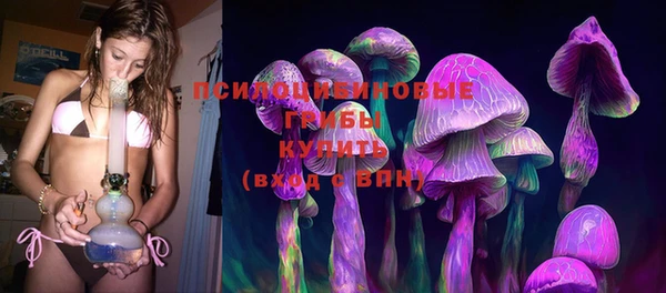 молекула духа Покров