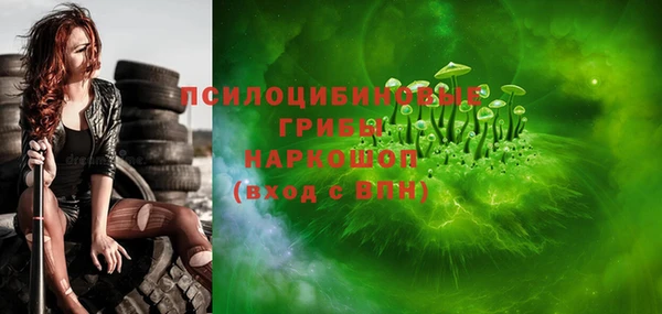 spice Покачи